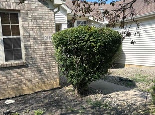 Bush Trimming by Leroy Green II for Deborah H. in Lewis Center, OH
