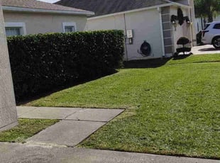 Bush Trimming by Rolando Mojica Betancourt for Kate H. in Kissimmee, FL