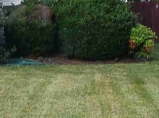 Weeding by Robert McCrary for Robin R. in Concord, NC