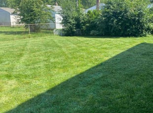 Jenni H.'s Lawn Mowing service result