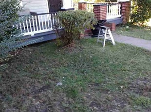 Leaf Removal by Arthur Haskins for Carlette B. in Richmond, VA