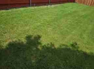 Heather R.'s Lawn Maintenance service result