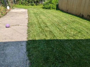 Tim M.'s Lawn Service service result