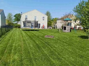 Brenda H.'s Lawn Service service result
