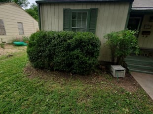 Bush Trimming by Brian Showers for David T. in Fort Worth, TX