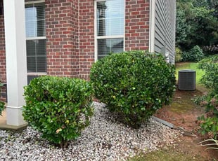 Bush Trimming by Phillip StPreuve for Jenelle B. in Lawrenceville, GA