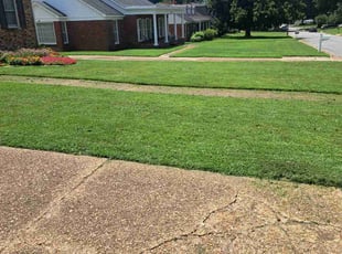 Bernita R.'s Lawn Mowing service result
