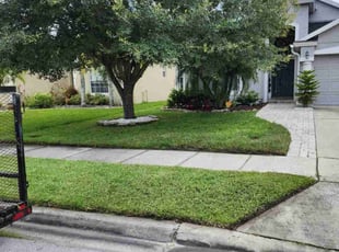 Monique G.'s Lawn Mowing service result