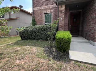 Bush Trimming by Gabriel Sosa for Martin C. in San Antonio, TX