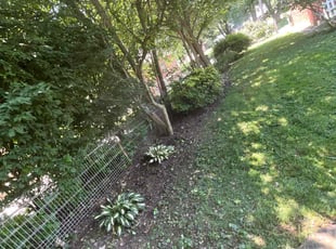 Weeding by ROLANDO ICO COC for Courtney M. in Ephrata, PA
