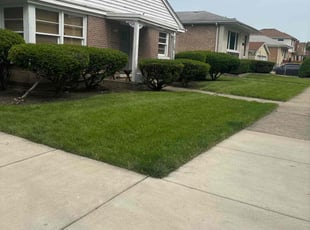 Stephen O.'s Lawn Care service result