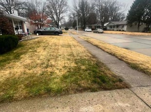 Leaf Removal by Marquis Reid for Larry J. in Florissant, MO