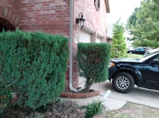 Bush Trimming by Christopher Rider for Wendy S. in Fort Worth, TX