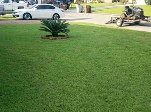 Lorraine P.'s Lawn Mowing service result