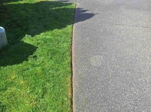 Tracey T.'s Lawn Mowing service result