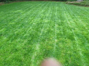 Joel W.'s Lawn Care service result