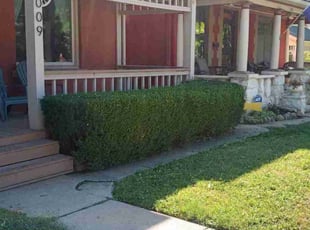 Bush Trimming by Lance Reynolds for Cary S. in Kansas City, MO
