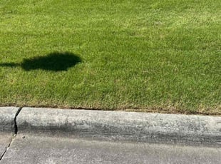 Bobbie W.'s Yard Cutting service result