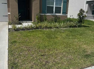 Cleanups by Elvis Sarria for Gaines U. in Lakeland, FL