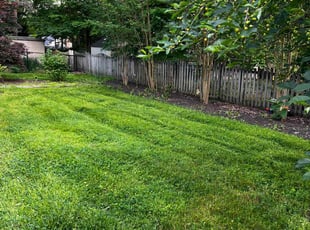 Kimmberly Z.'s Lawn Mowing Service service result