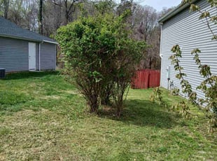 Bush Trimming by Tim Hargett for Roxzy P. in Charlotte, NC