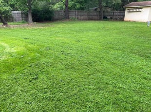 Michael G.'s Lawn Service service result
