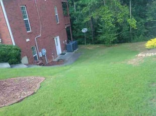 Bush Trimming by Aaron Allen for Diane A. in Stonecrest, GA