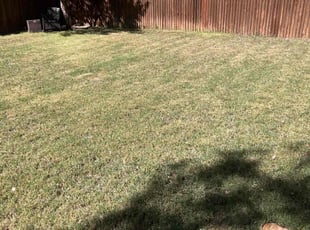 Emsy C.'s Lawn Care service result