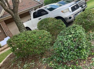 Bush Trimming by Samuel Reyes for Judy L. in Pearland, TX