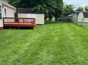 Margot W.'s Lawn Care service result