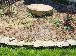 Cleanups by Gustavo Martinez for Jesse G. in Lorton, VA