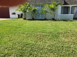 Bush Trimming by Robert Pierson for Joshua W. in NEW PRT RCHY, FL