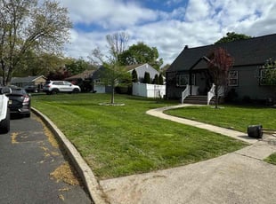 Guadalupe C.'s Yard Cutting service result