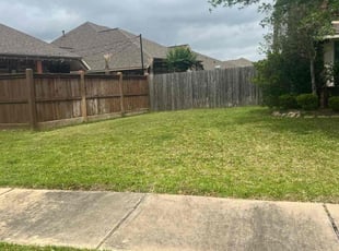 Gabriel S.'s Lawn Mowing service result