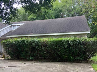 Bush Trimming by Thomas Foster for Gloria B. in Houston, TX