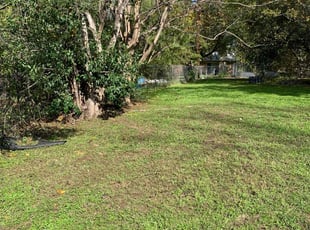 Cleanups by Daniel Rios for Tracy F. in Austin, TX