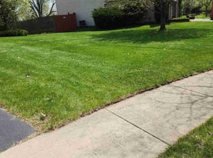 Jordan P.'s Lawn Mowing service result