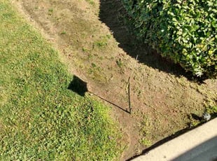 Weeding by Alex Rodriguez for Jeff S. in Fresno, CA