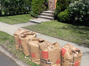 Leaf Removal by Nelson Guerrero for Lorraine Z. in Fair Lawn, NJ