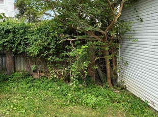 Bush Trimming by Dwayne Galloway for Alma M. in Columbus, OH