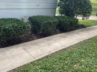 Bush Trimming by Luke Walker for Robert L. in Independence, MO