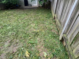 Cleanups by Ross Stevens for Branden M. in Kennesaw, GA