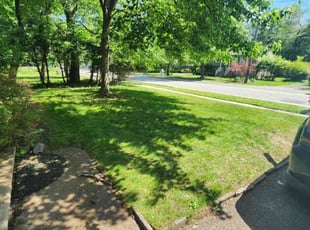 Pamela H.'s Yard Cutting service result