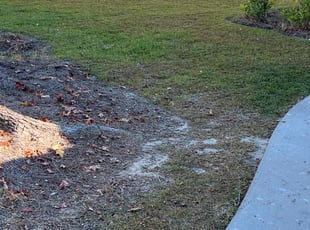 Leaf Removal by Brian Stephenson for Melvin J. in Charleston, SC