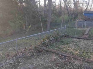 Leaf Removal by James Buchanan for Alice R. in Kansas City, MO