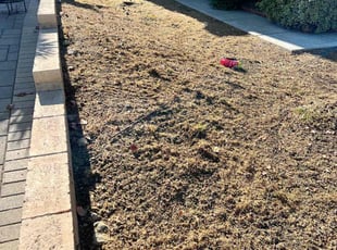 Leaf Removal by Keith Dalke for Sharon Y. in San Diego, CA