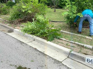 Cleanups by Shameem Mohmand for John H. in North Richland Hills, TX