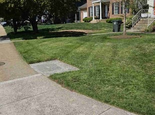 Darren R.'s Lawn Mowing Service service result