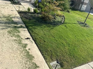 Cleanups by Patrick Stewart for Tiffaney T. in Melissa, TX