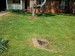 Daniel C.'s Lawn Mowing service result